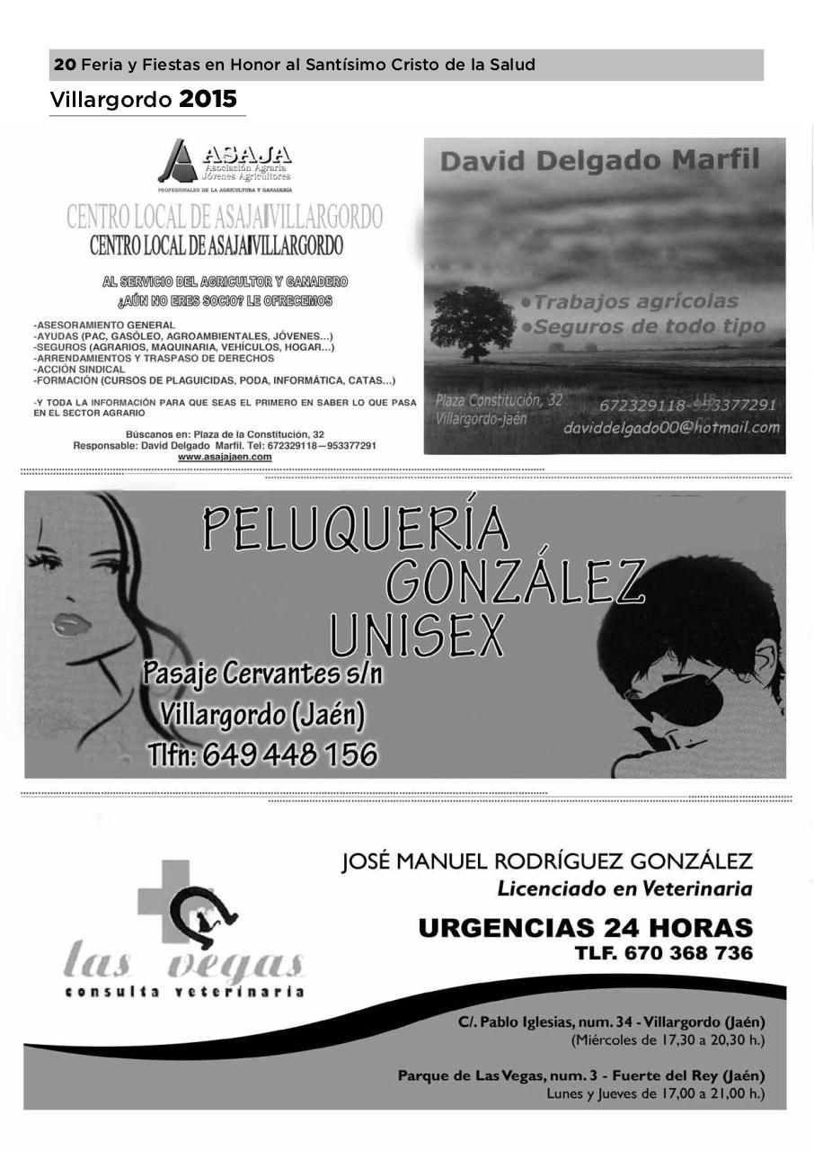 Vista previa del archivo PDF revista-villargordo-2015-1.pdf