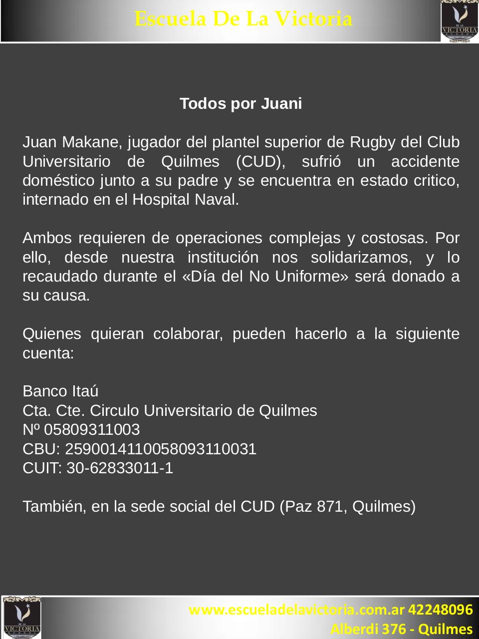 Vista previa del archivo PDF boletin-agosto.pdf