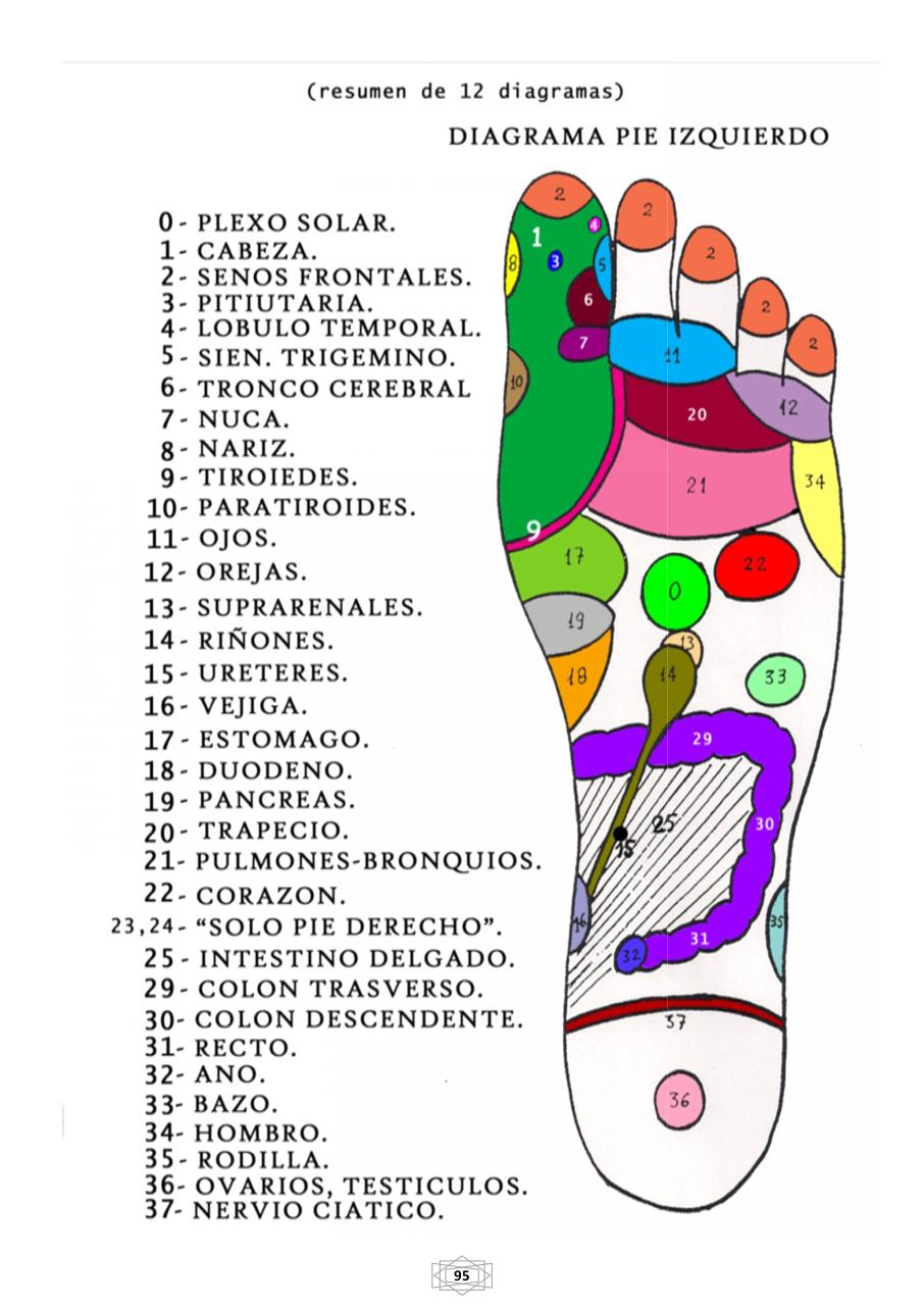 Vista previa del archivo PDF curso-b-sico-de-quiromasaje-terapeutico-2015.pdf