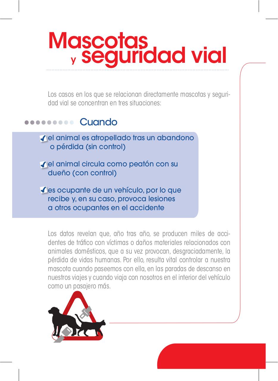 Vista previa del archivo PDF guia-race.pdf