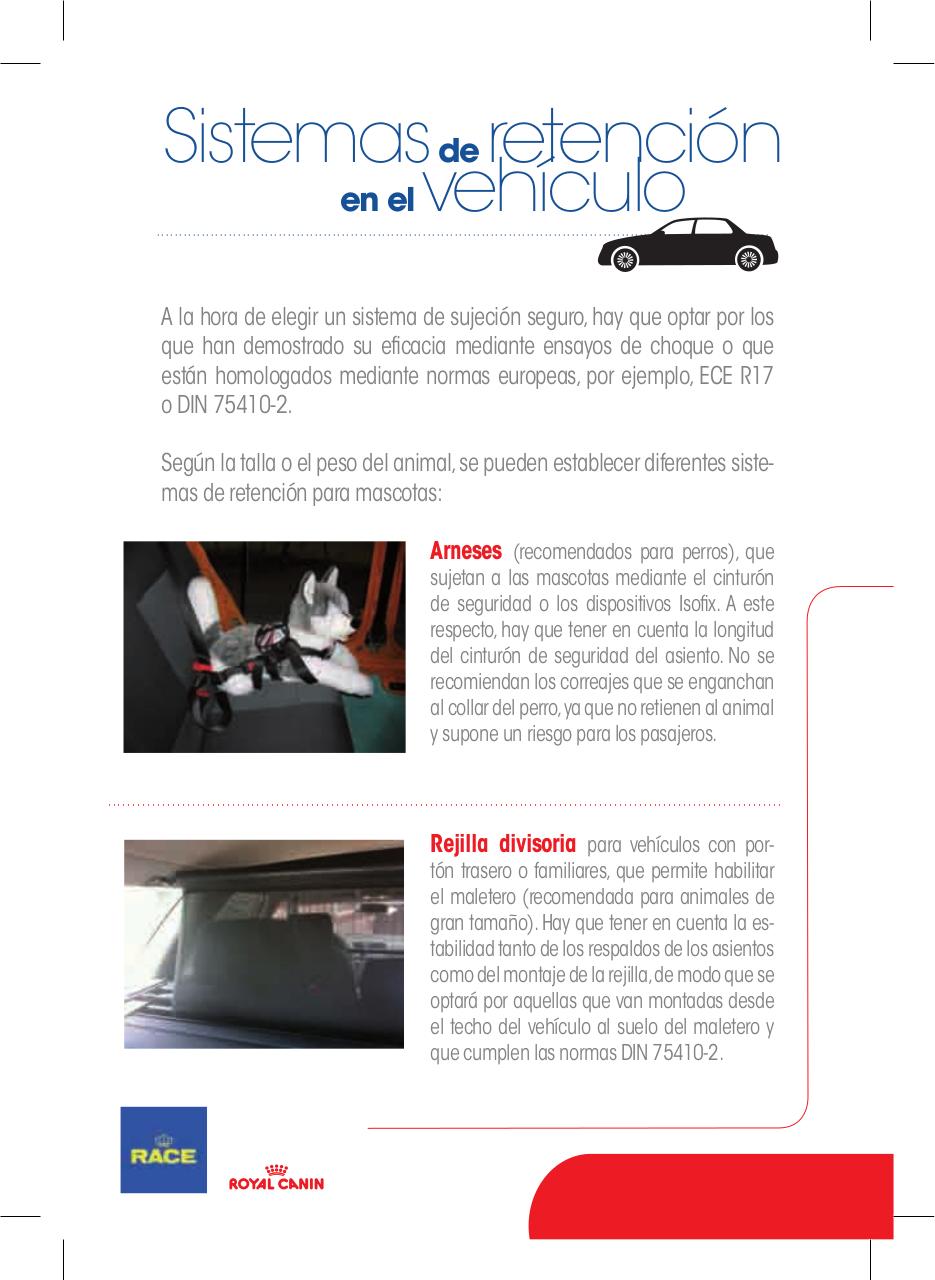 Vista previa del archivo PDF guia-race.pdf