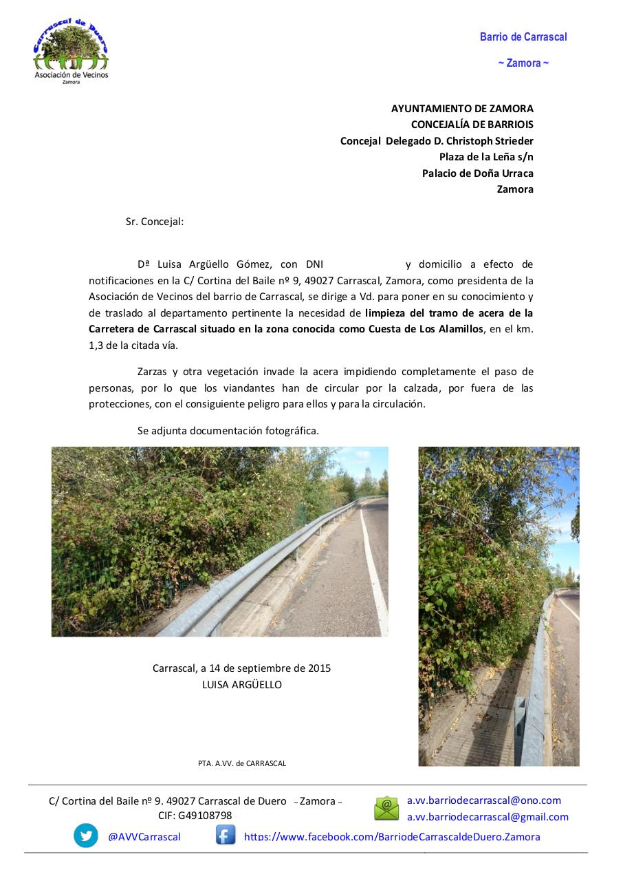 Vista previa del documento fb VegetaciÃ³n acera cuesta de los alamillos.pdf - página 1/1