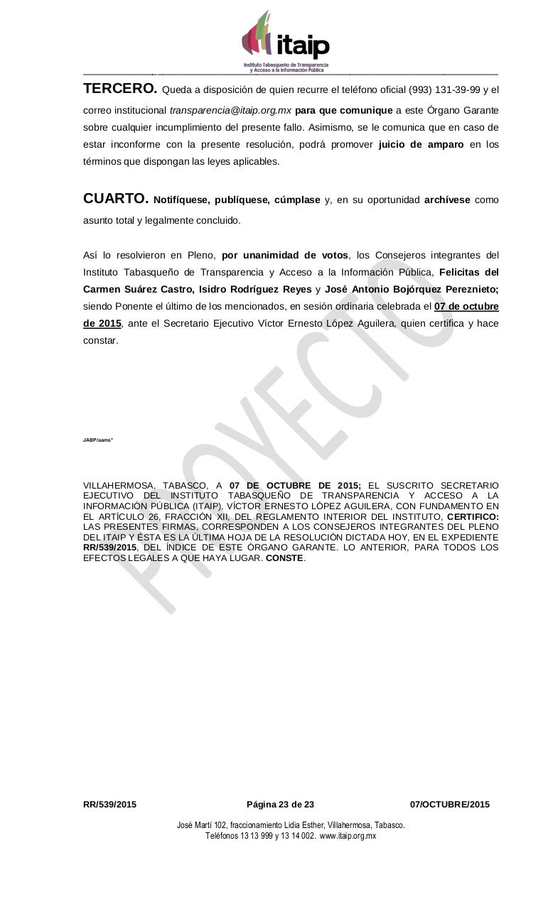 Vista previa del archivo PDF rr-539-2015.pdf