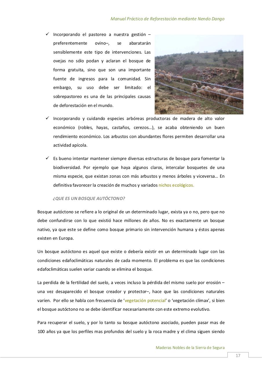 Vista previa del archivo PDF manualpracticonendodango.pdf