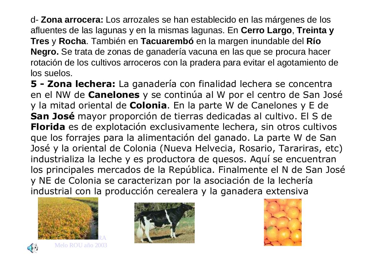 Vista previa del archivo PDF uruguayengeneral.pdf