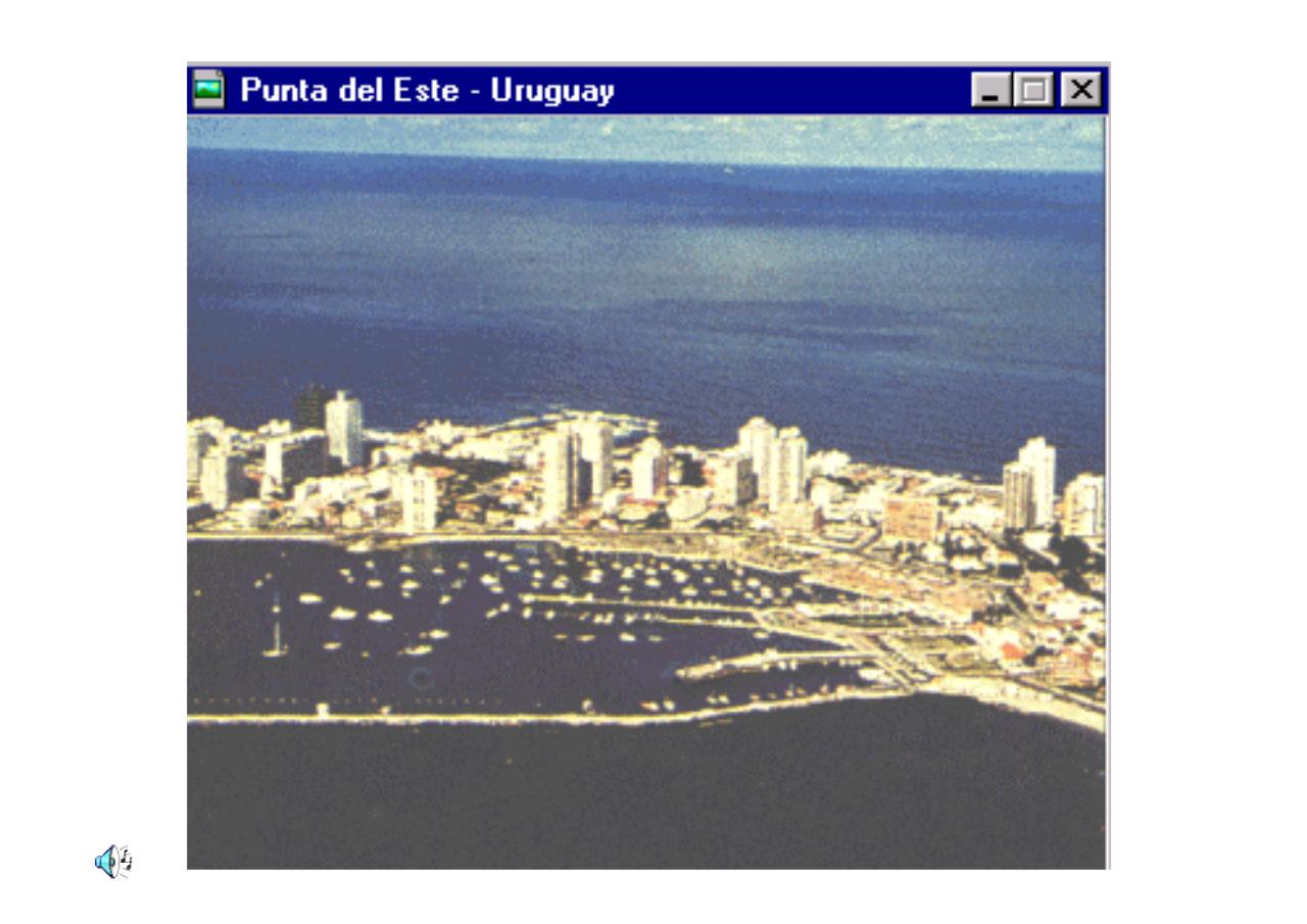 Vista previa del archivo PDF uruguayengeneral.pdf