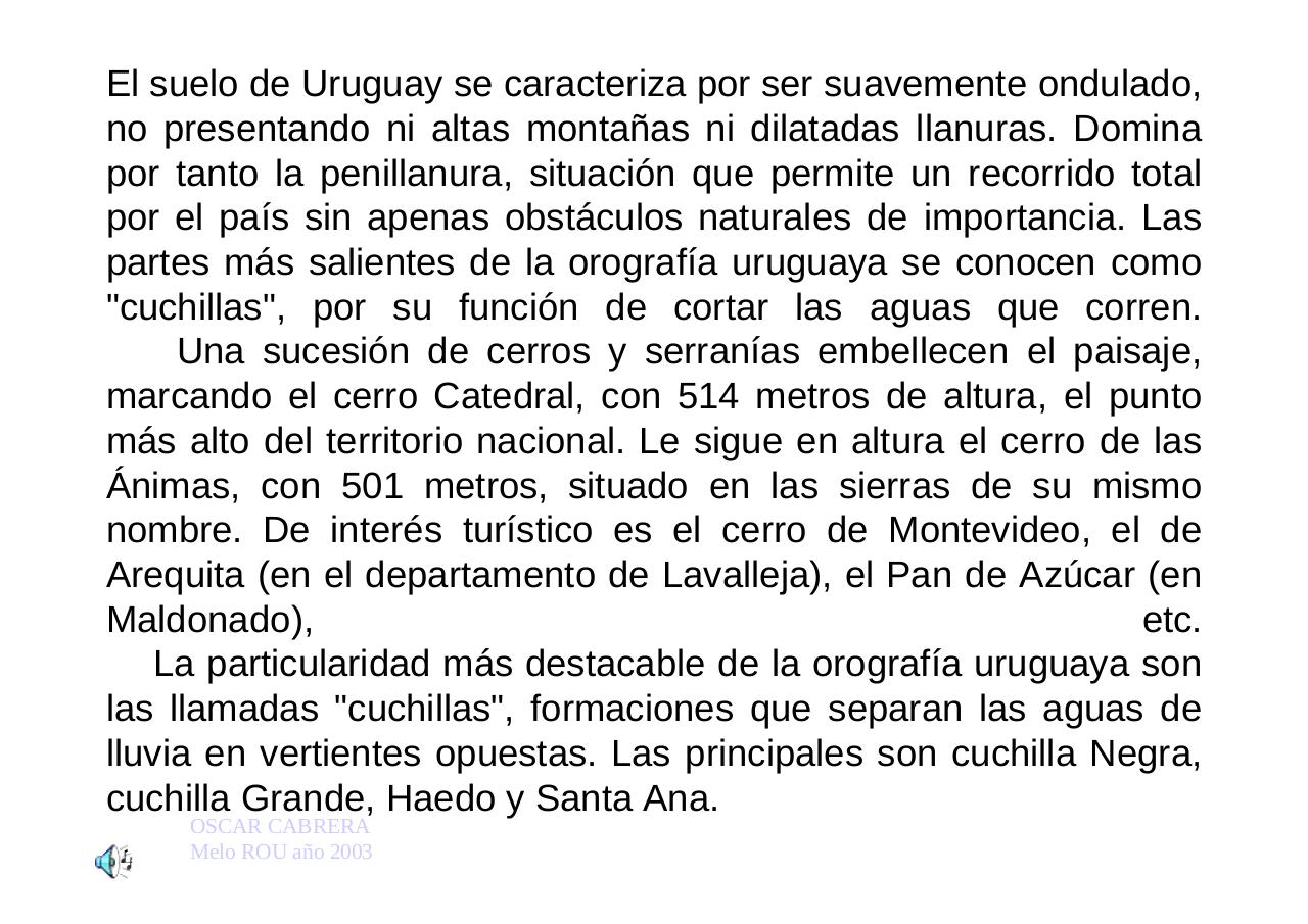 Vista previa del archivo PDF uruguayengeneral.pdf