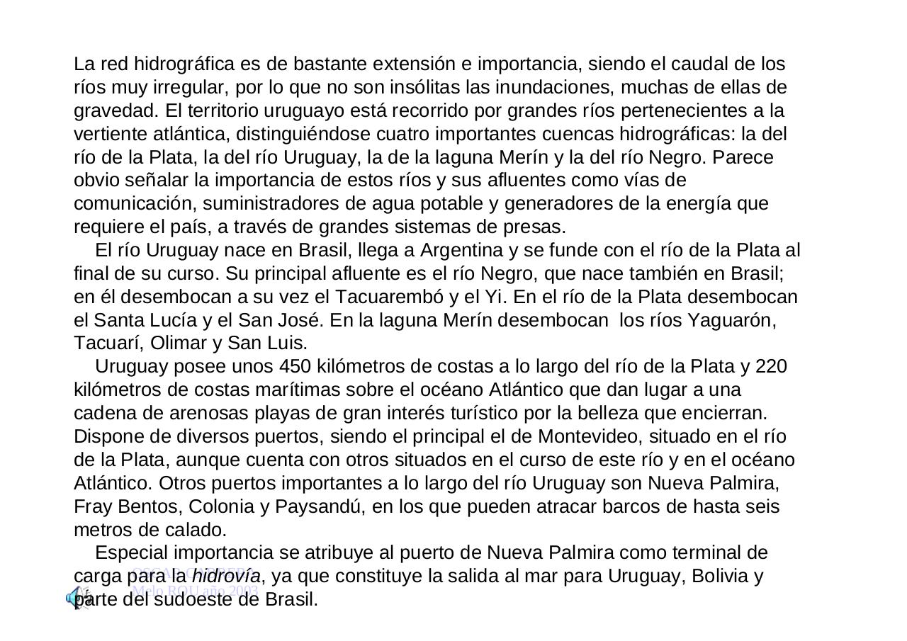 Vista previa del archivo PDF uruguayengeneral.pdf