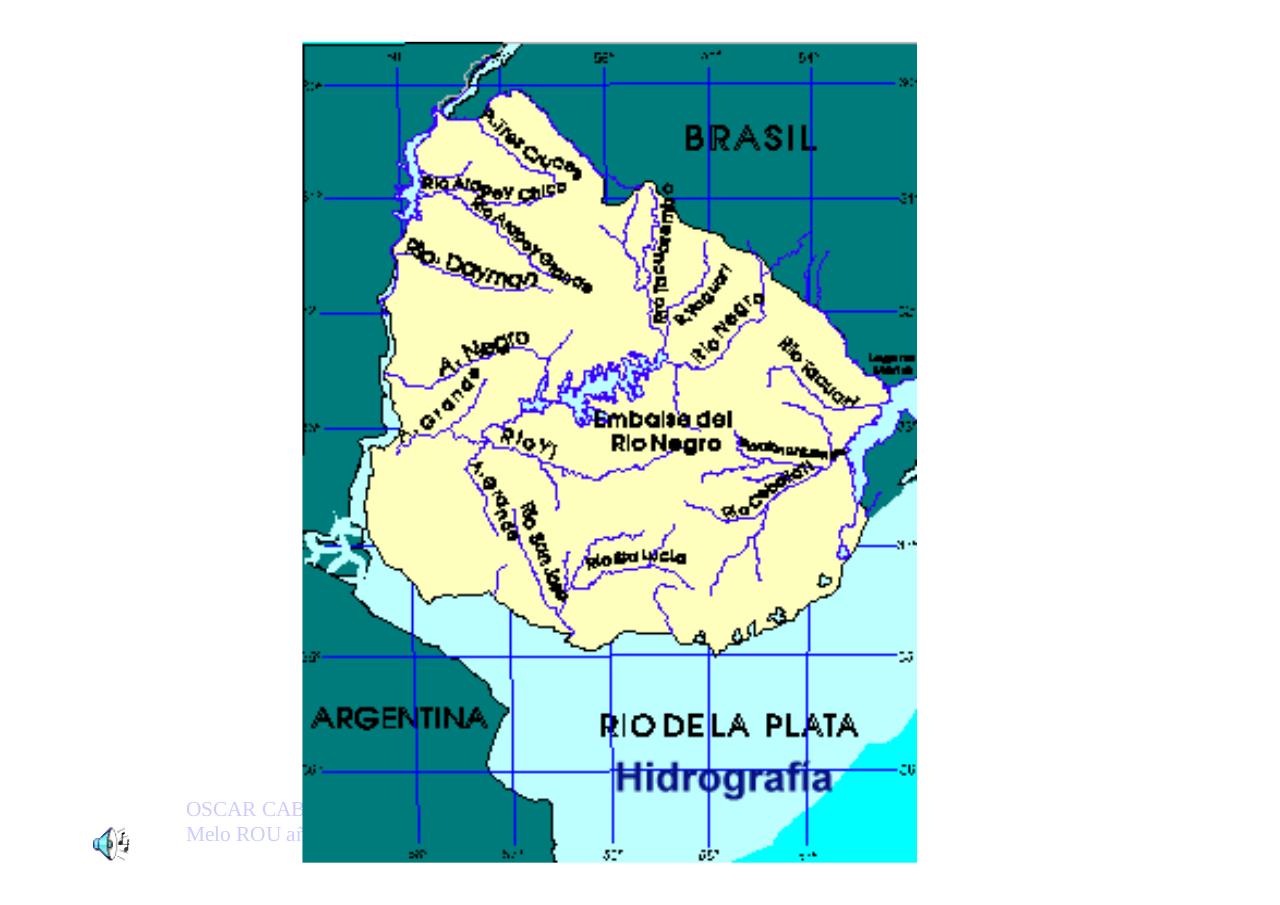 Vista previa del archivo PDF uruguayengeneral.pdf