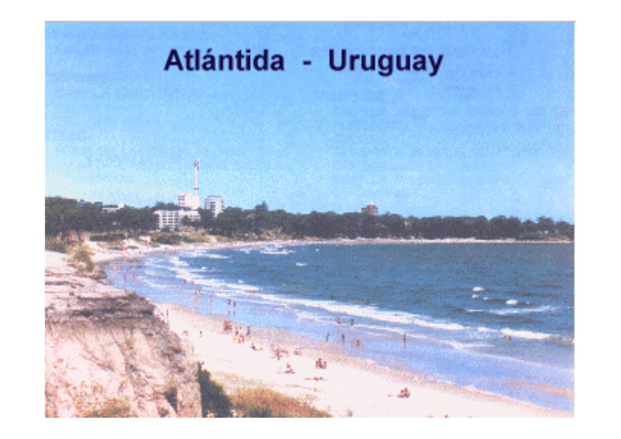 Vista previa del archivo PDF uruguayengeneral.pdf