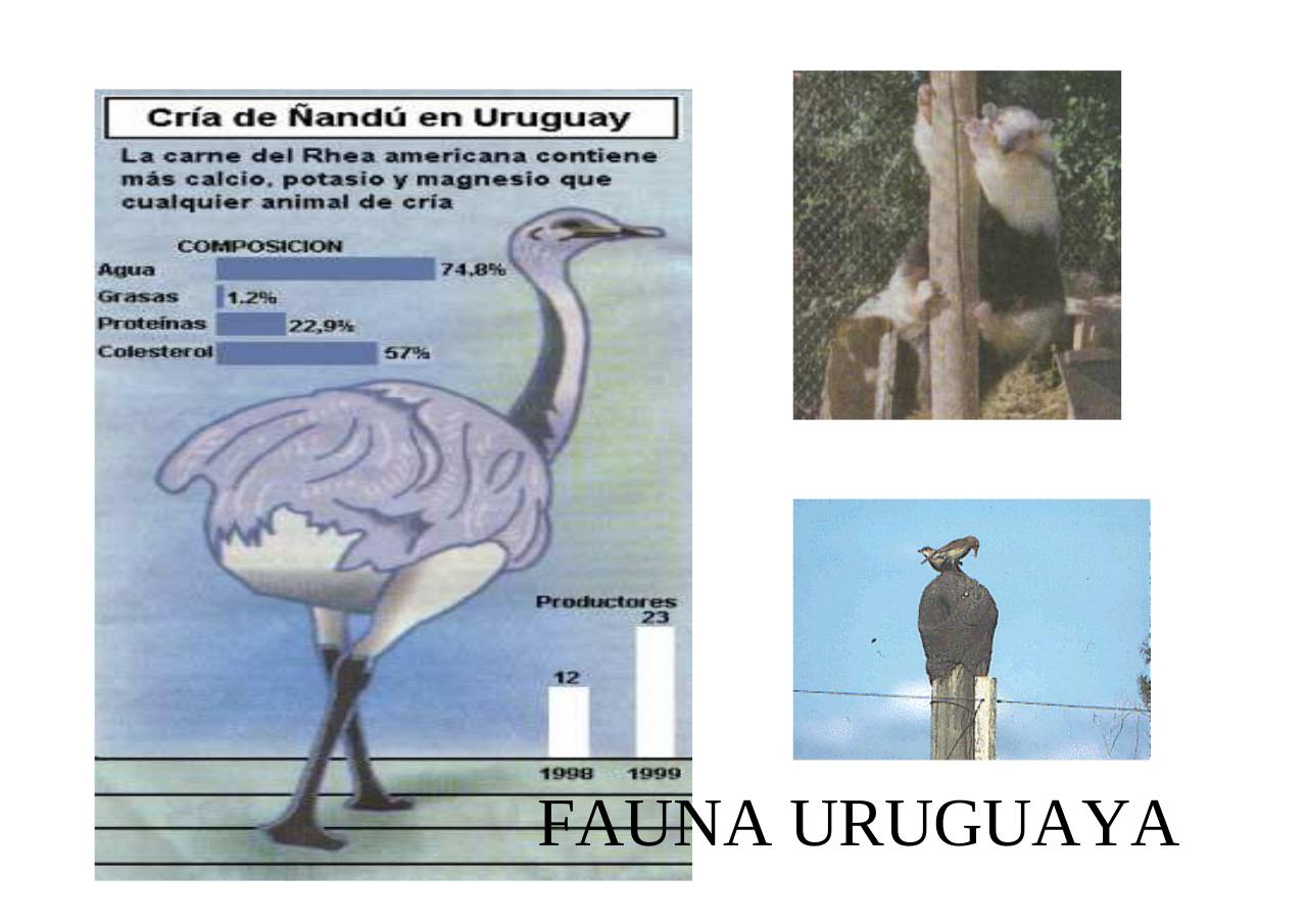 Vista previa del archivo PDF uruguayengeneral.pdf