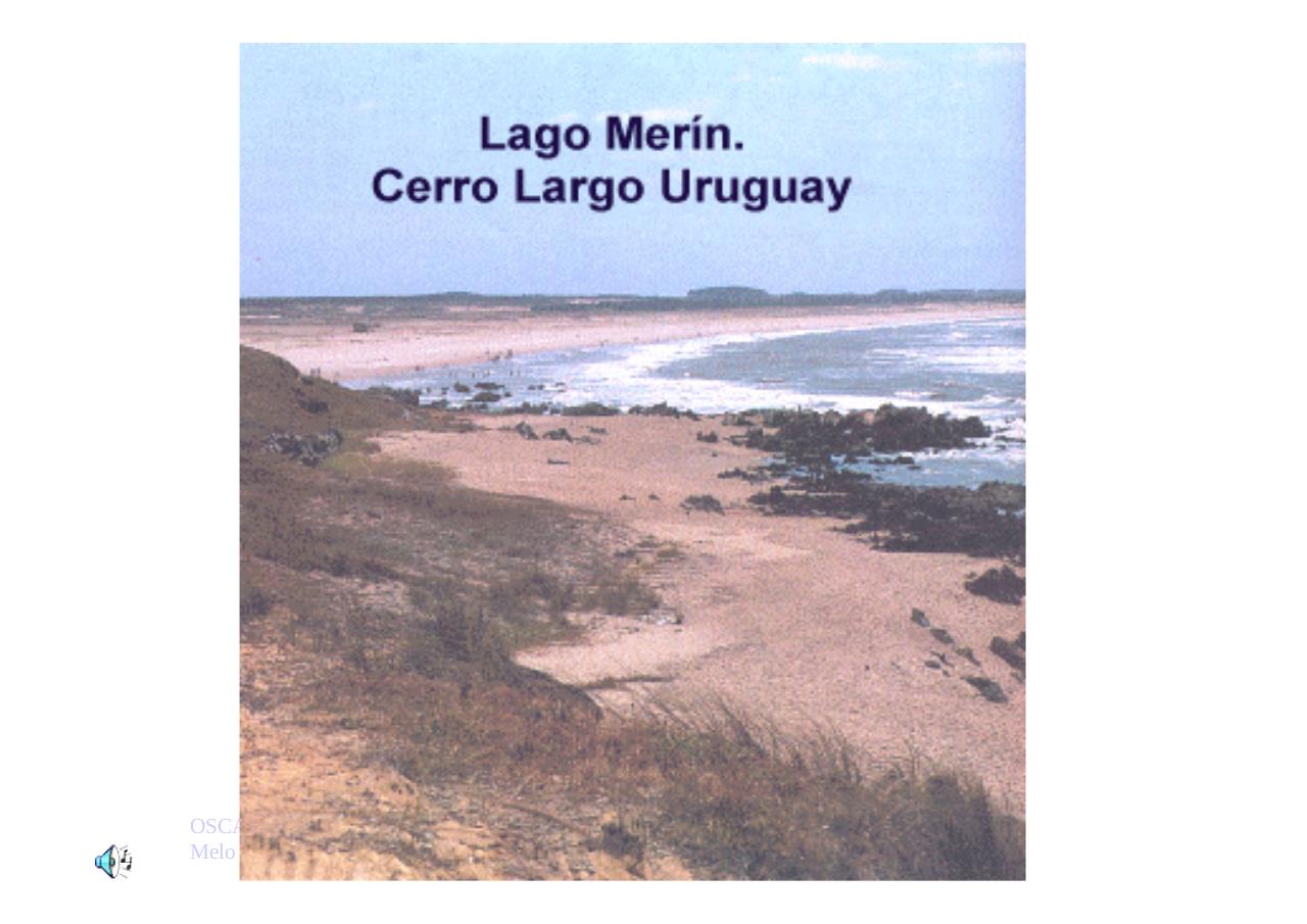 Vista previa del archivo PDF uruguayengeneral.pdf