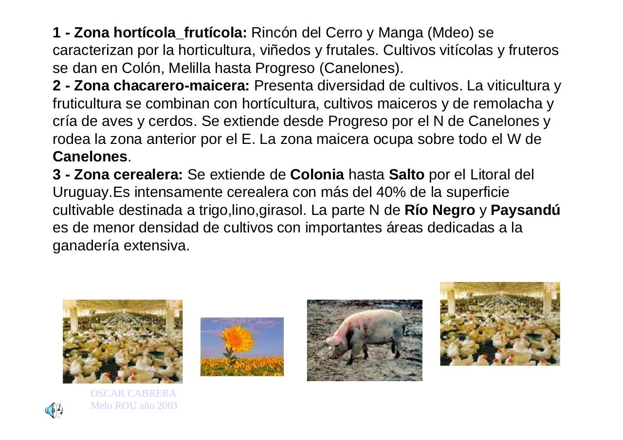 Vista previa del archivo PDF uruguayengeneral.pdf