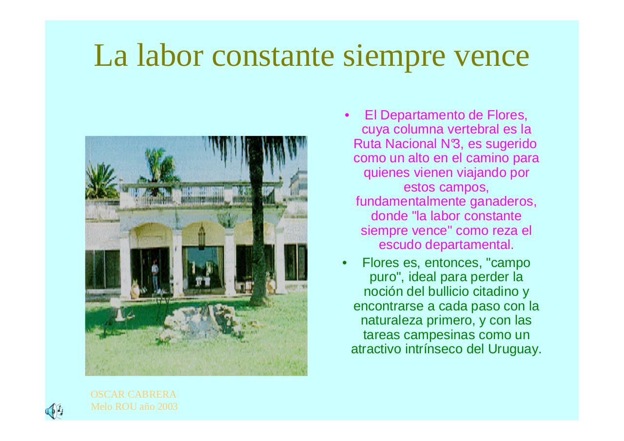 Vista previa del archivo PDF regioncentrosururuguay.pdf
