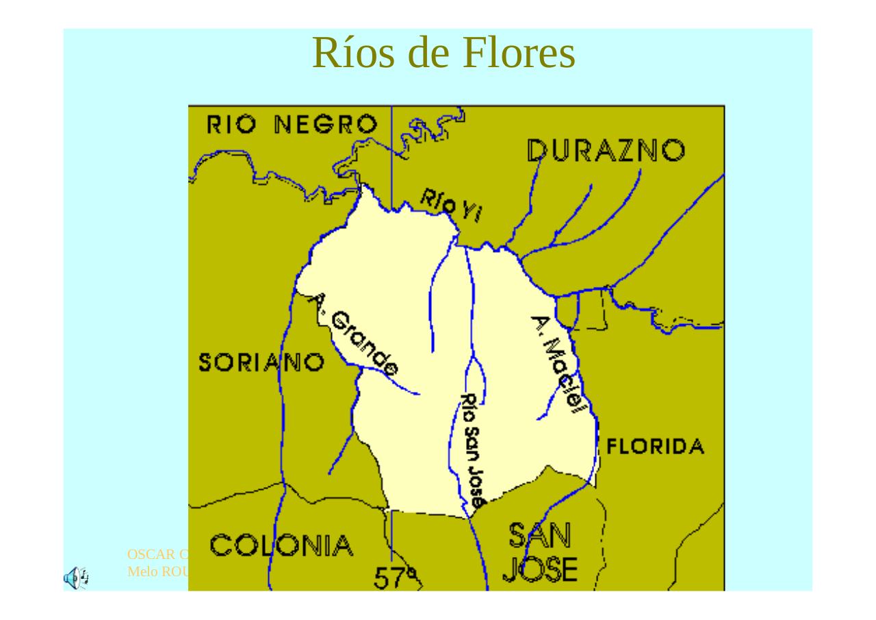 Vista previa del archivo PDF regioncentrosururuguay.pdf
