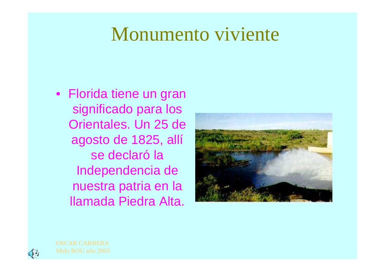 Vista previa del archivo PDF regioncentrosururuguay.pdf