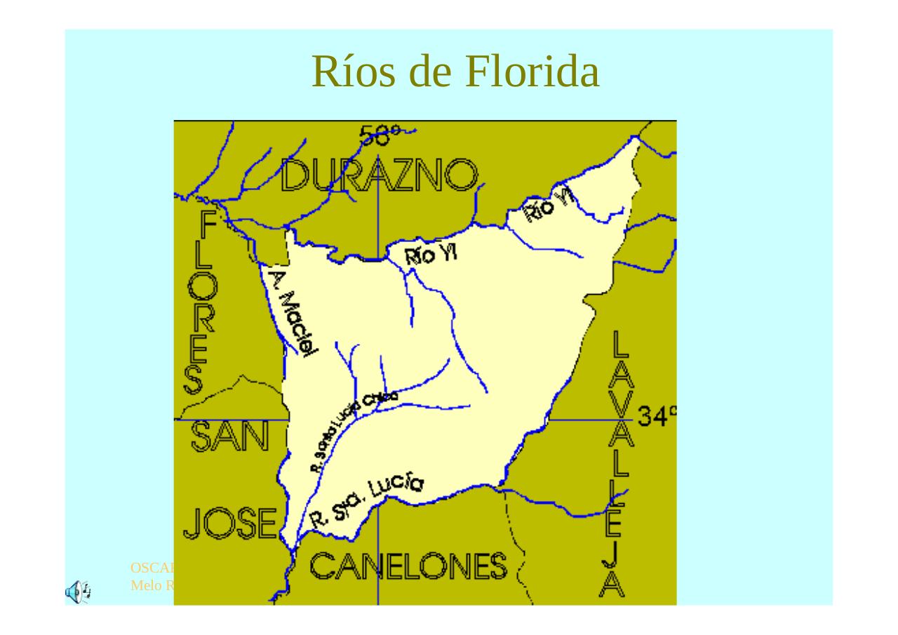 Vista previa del archivo PDF regioncentrosururuguay.pdf