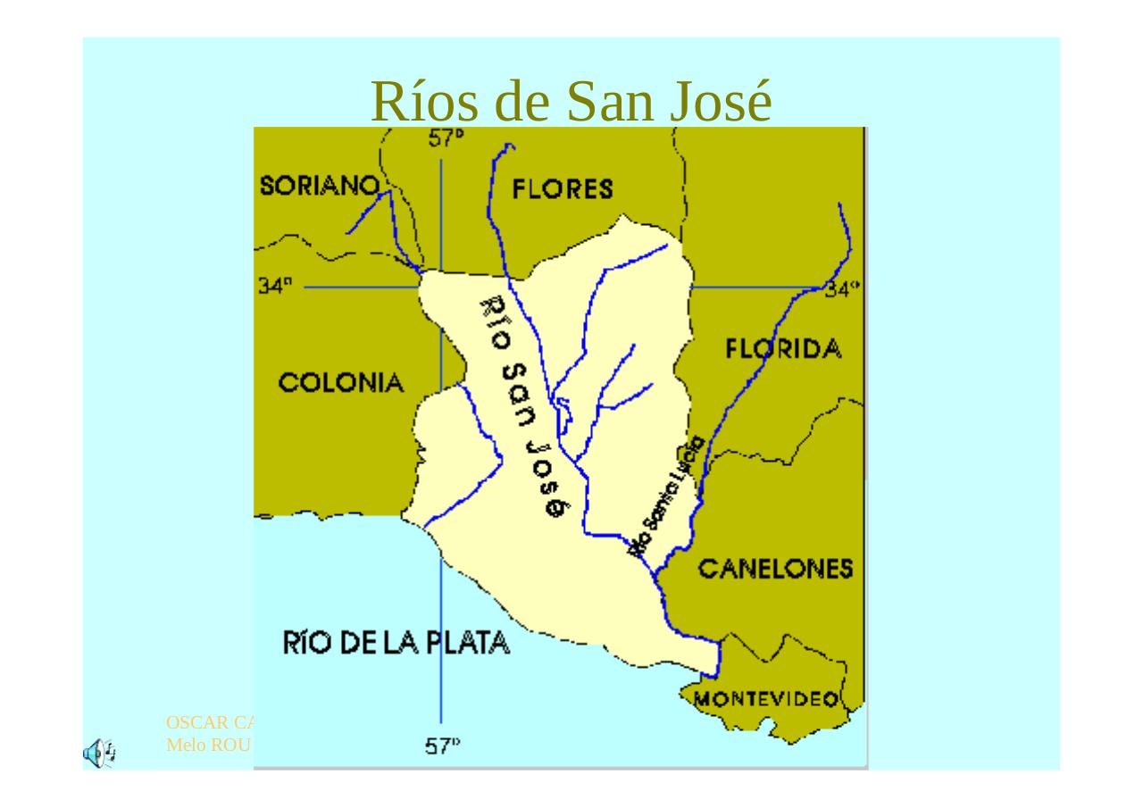 Vista previa del archivo PDF regioncentrosururuguay.pdf