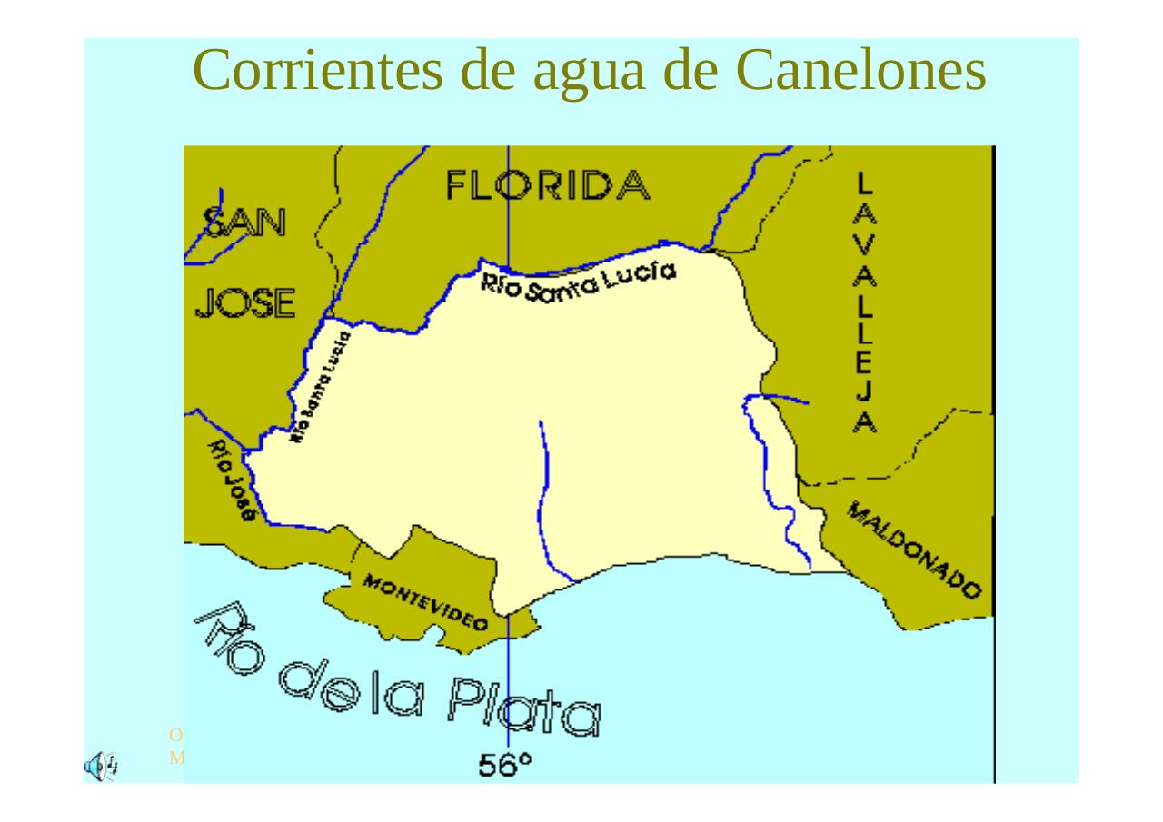 Vista previa del archivo PDF regioncentrosururuguay.pdf