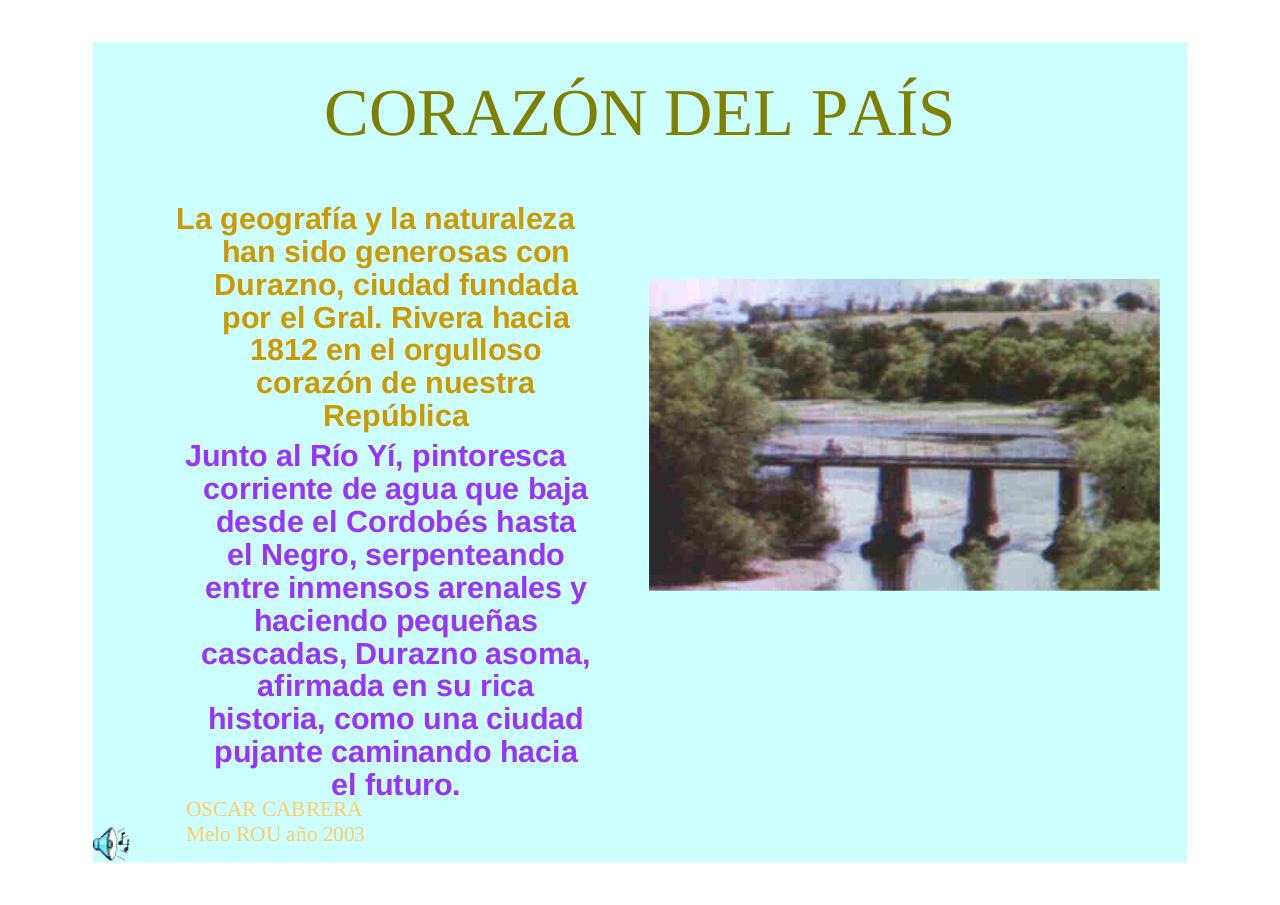 Vista previa del archivo PDF regioncentrosururuguay.pdf