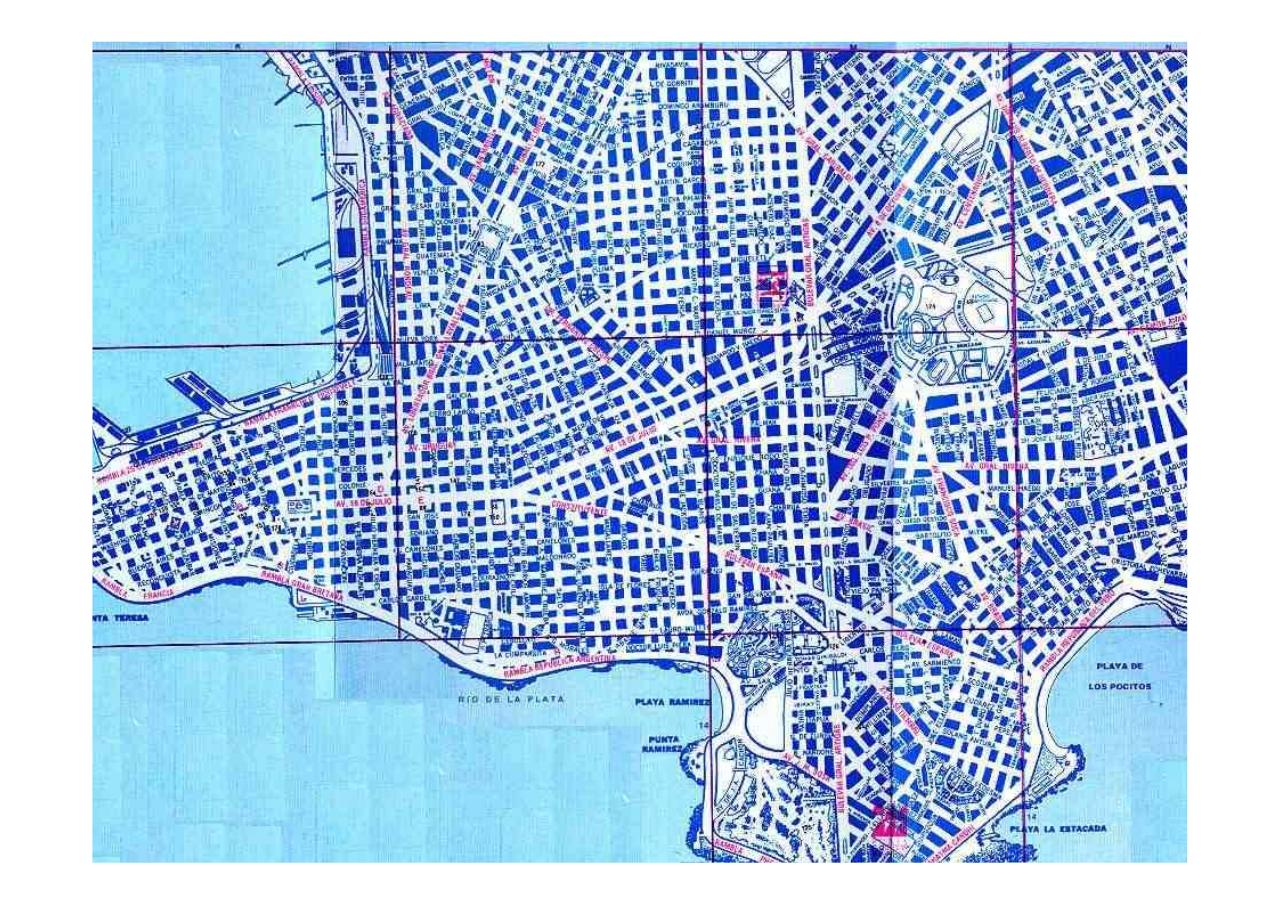Vista previa del archivo PDF regioncentrosururuguay.pdf