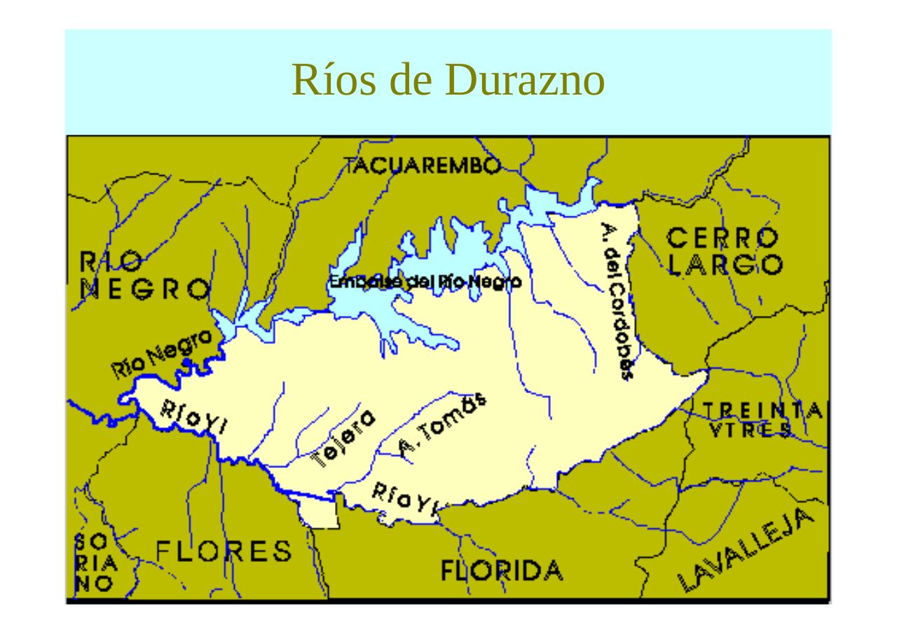 Vista previa del archivo PDF regioncentrosururuguay.pdf