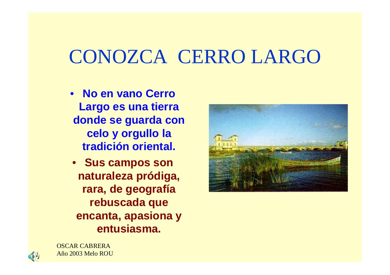 Vista previa del archivo PDF regionesteuruguay.pdf