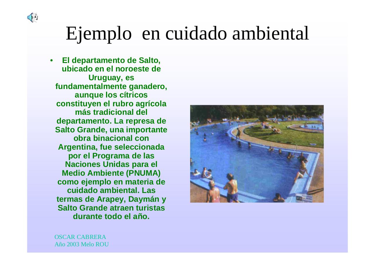 Vista previa del archivo PDF regionnoroesteuruguay.pdf