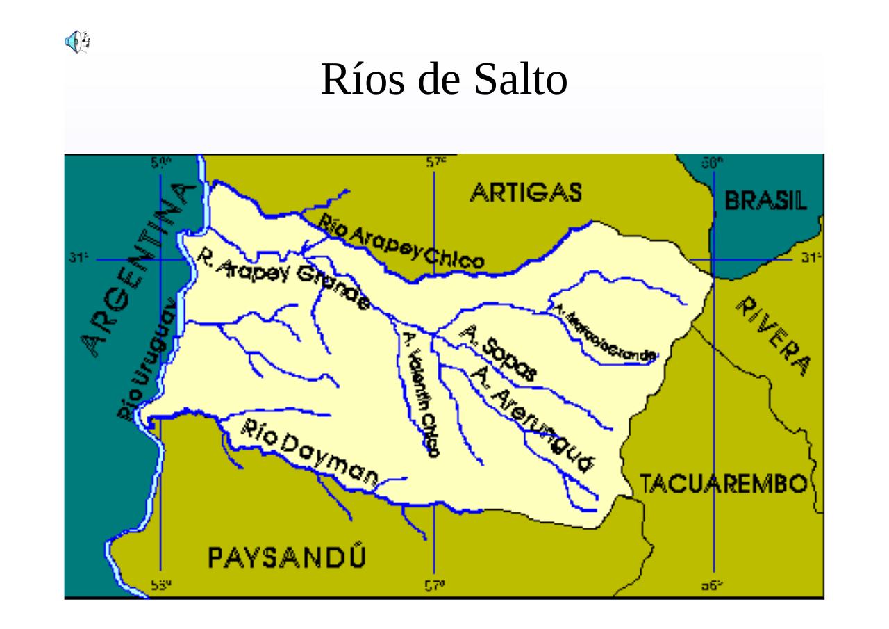 Vista previa del archivo PDF regionnoroesteuruguay.pdf