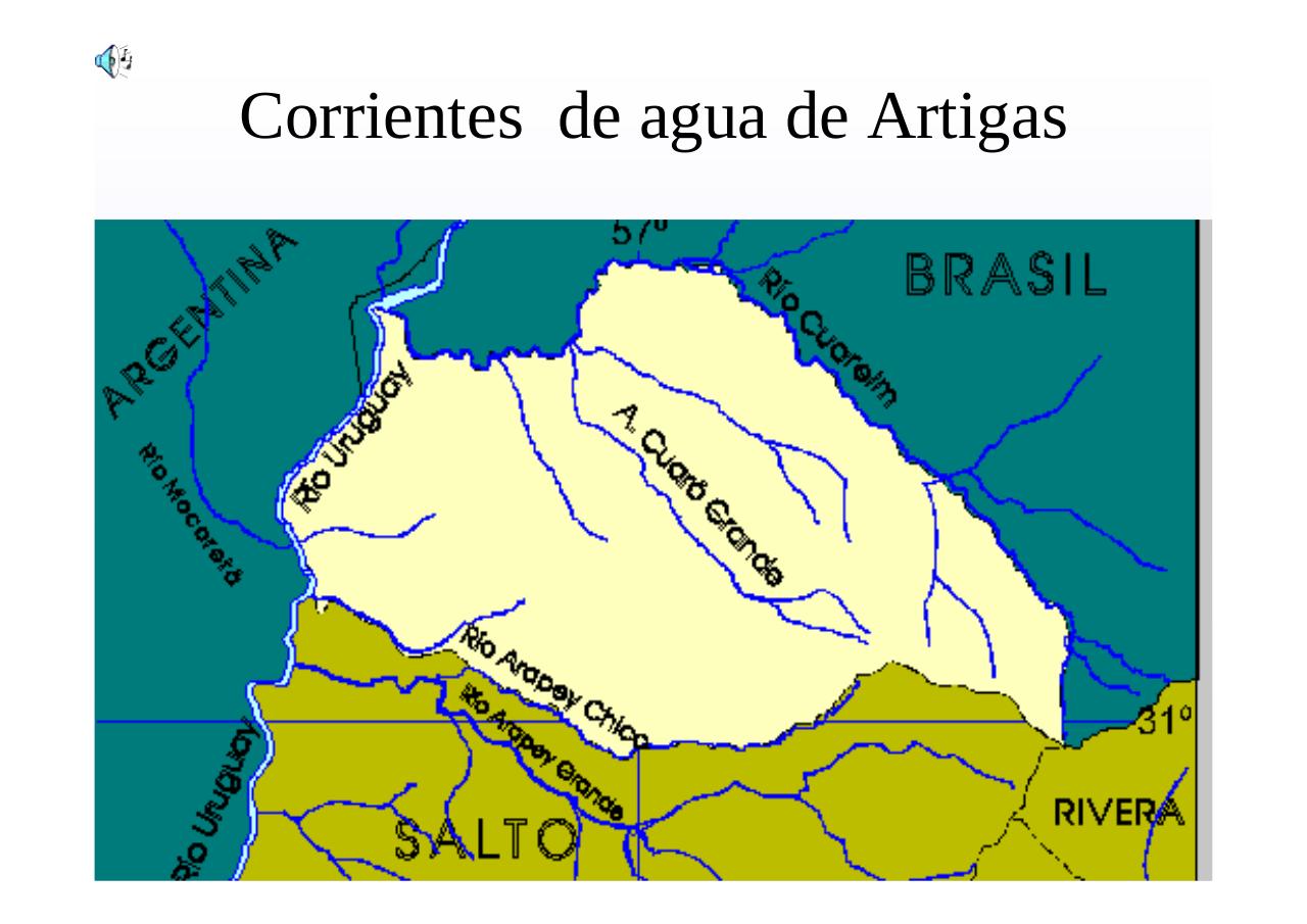 Vista previa del archivo PDF regionnoroesteuruguay.pdf