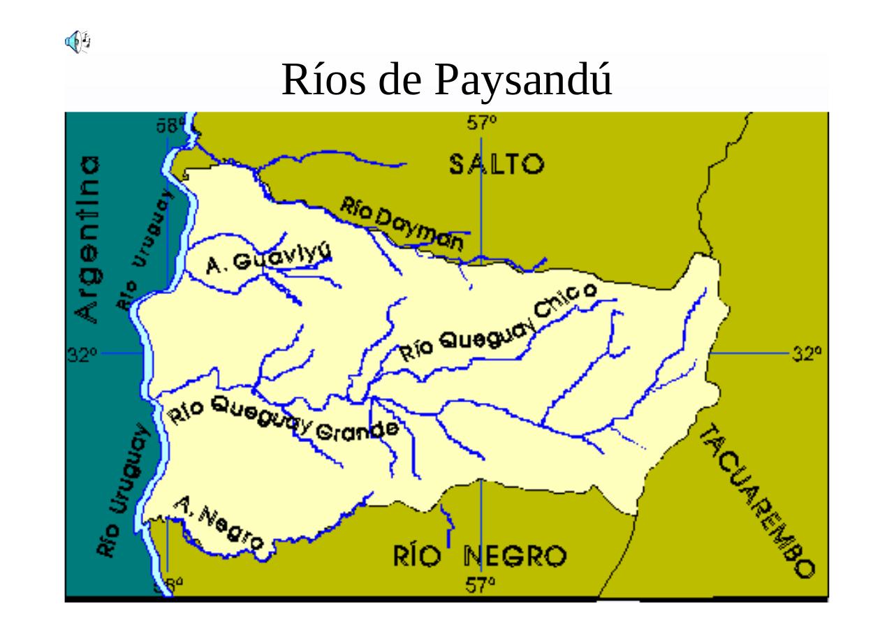 Vista previa del archivo PDF regionnoroesteuruguay.pdf