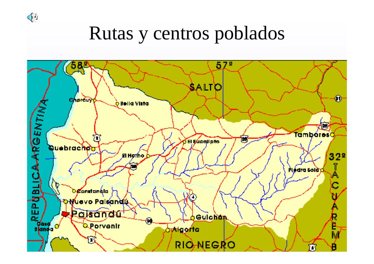 Vista previa del archivo PDF regionnoroesteuruguay.pdf