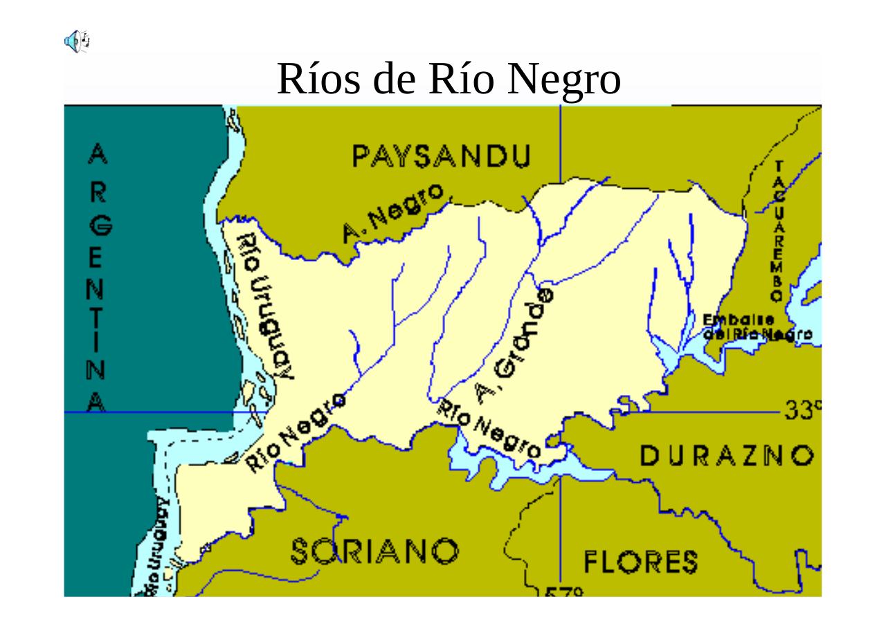 Vista previa del archivo PDF regionnoroesteuruguay.pdf