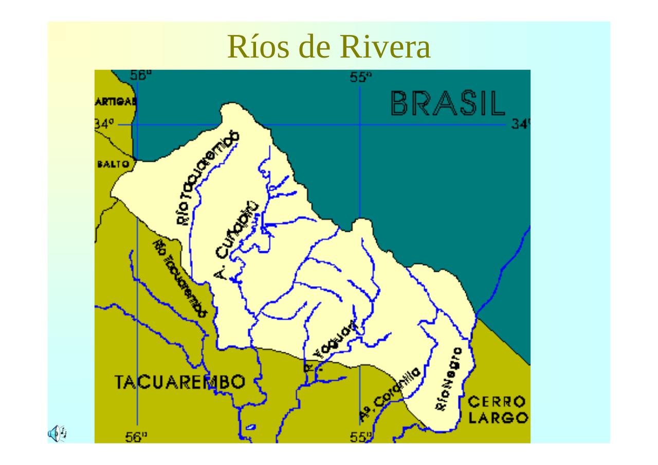 Vista previa del archivo PDF regionnorteuruguay.pdf