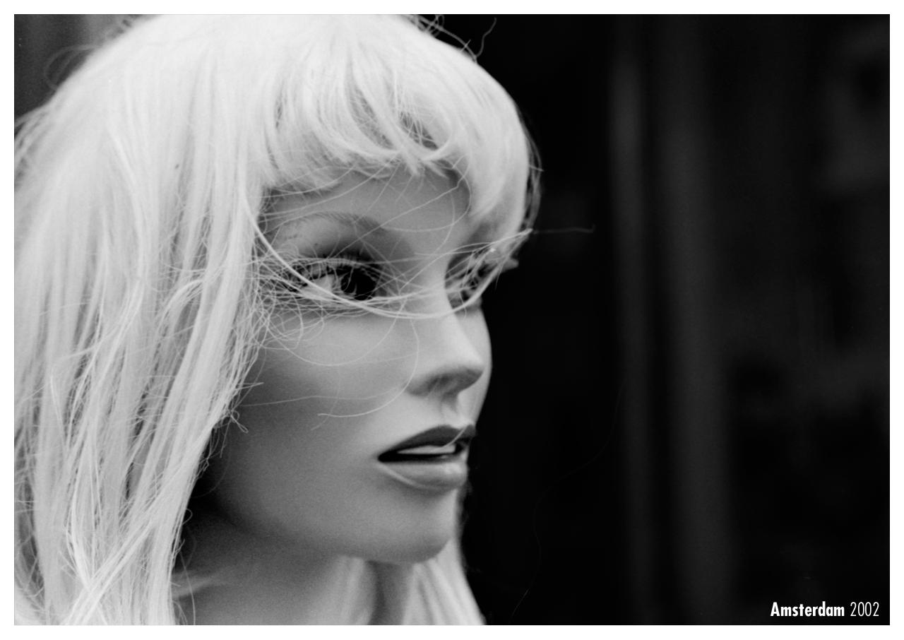 Vista previa del archivo PDF palomo-n-1.pdf