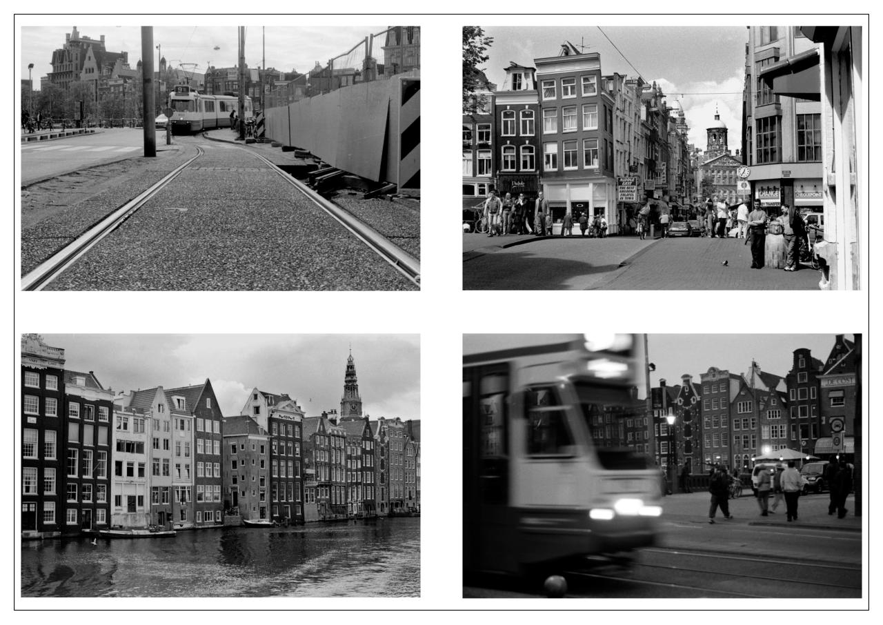 Vista previa del archivo PDF palomo-n-1.pdf