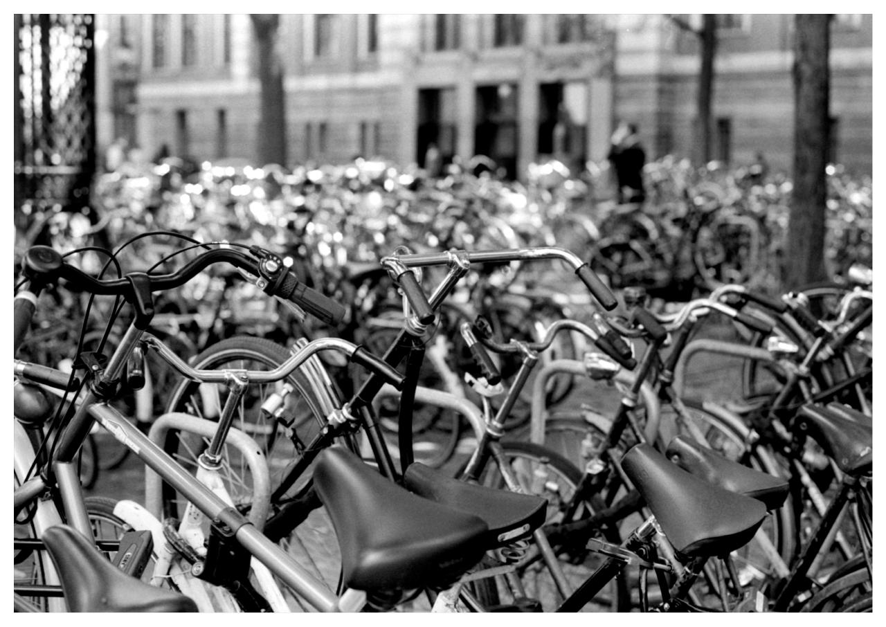 Vista previa del archivo PDF palomo-n-1.pdf