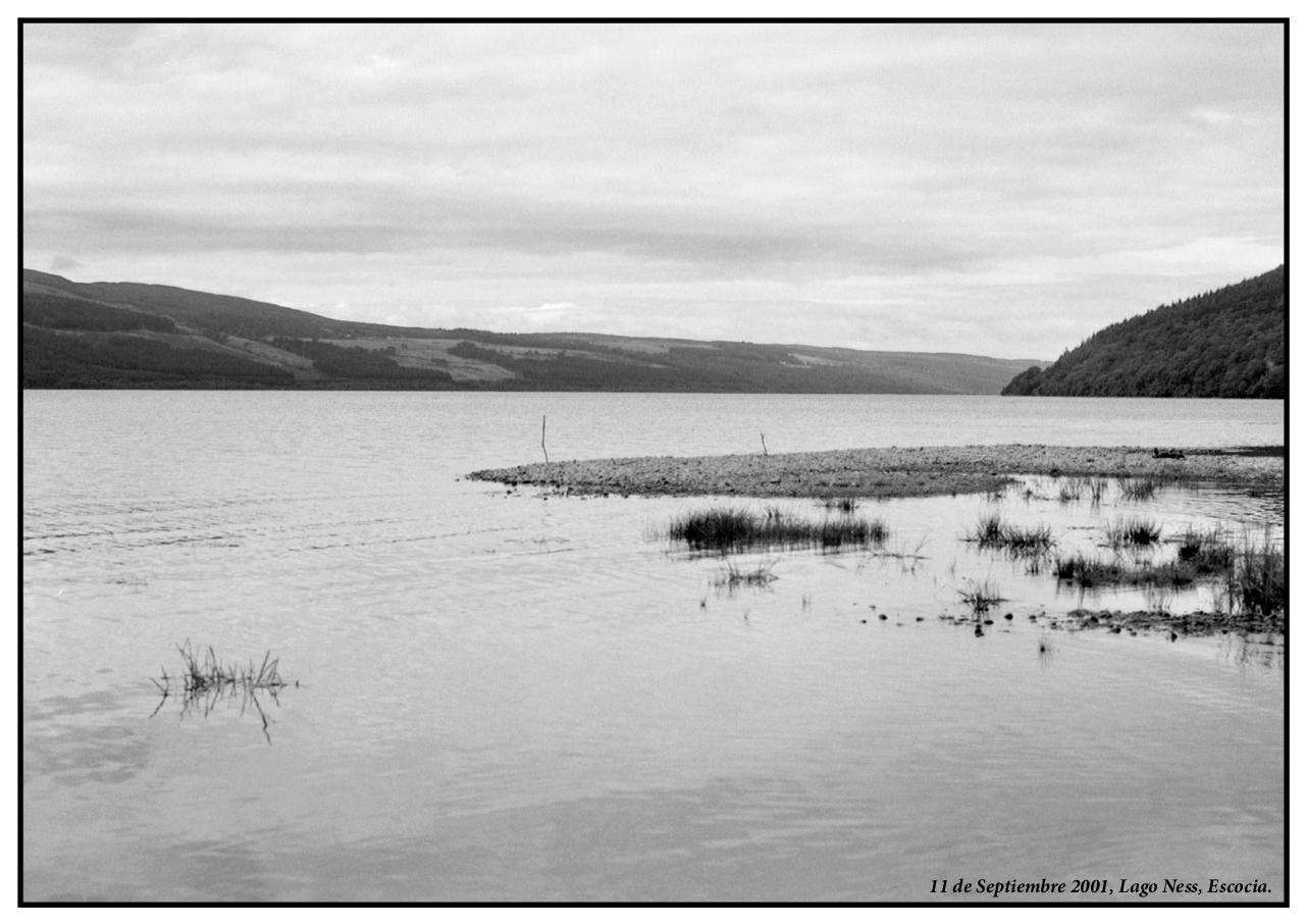 Vista previa del archivo PDF palomo-n-1.pdf