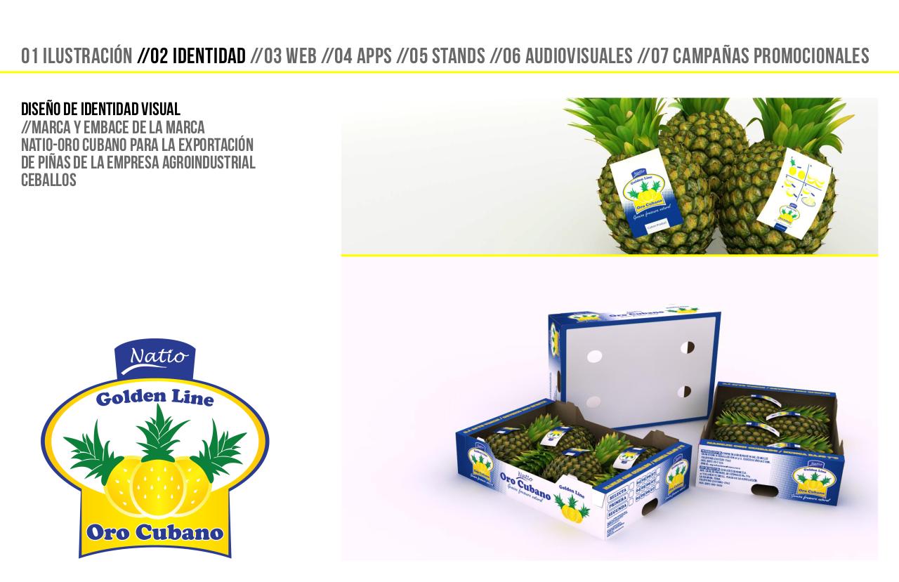 Vista previa del archivo PDF seta-amarilla-dossier-1.pdf