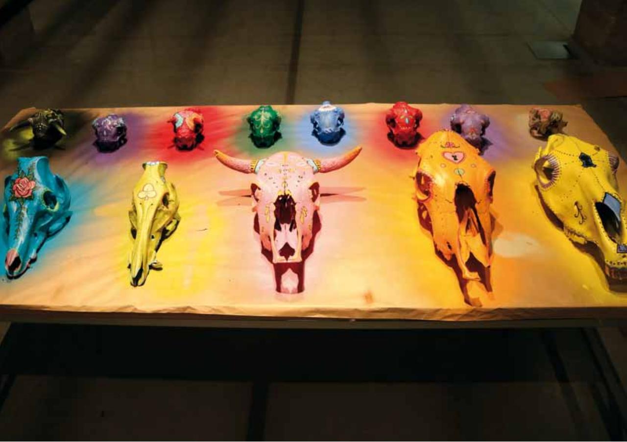 Vista previa del archivo PDF 2-cat-logo.pdf