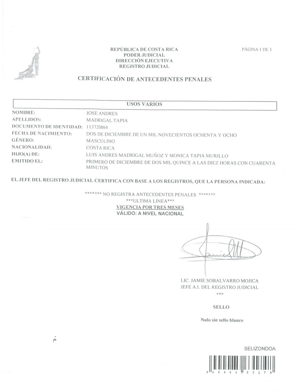 Vista previa del archivo PDF curriculum-andres-madrigal.pdf