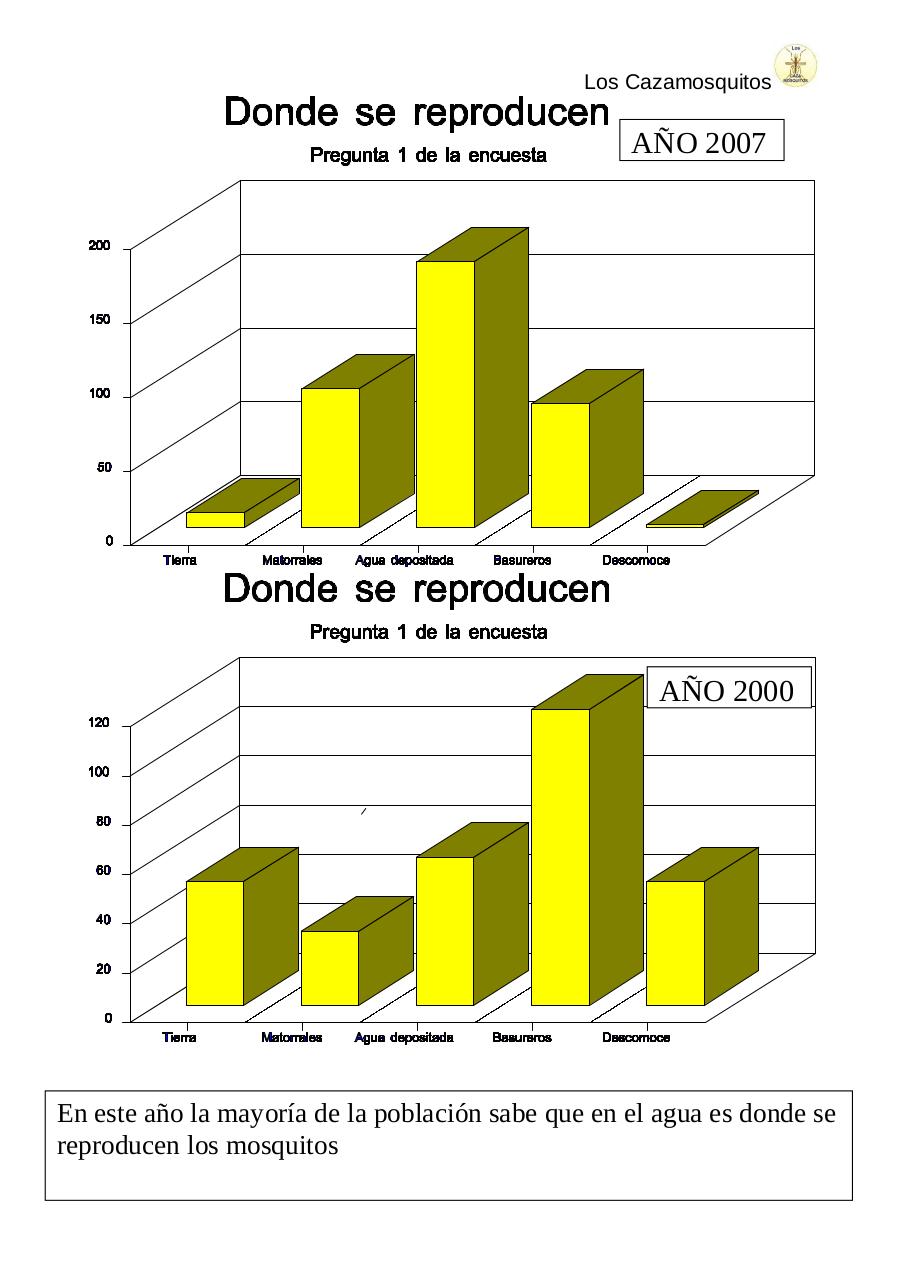 Vista previa del archivo PDF club-los-cazamosquitos-el-dengue.pdf