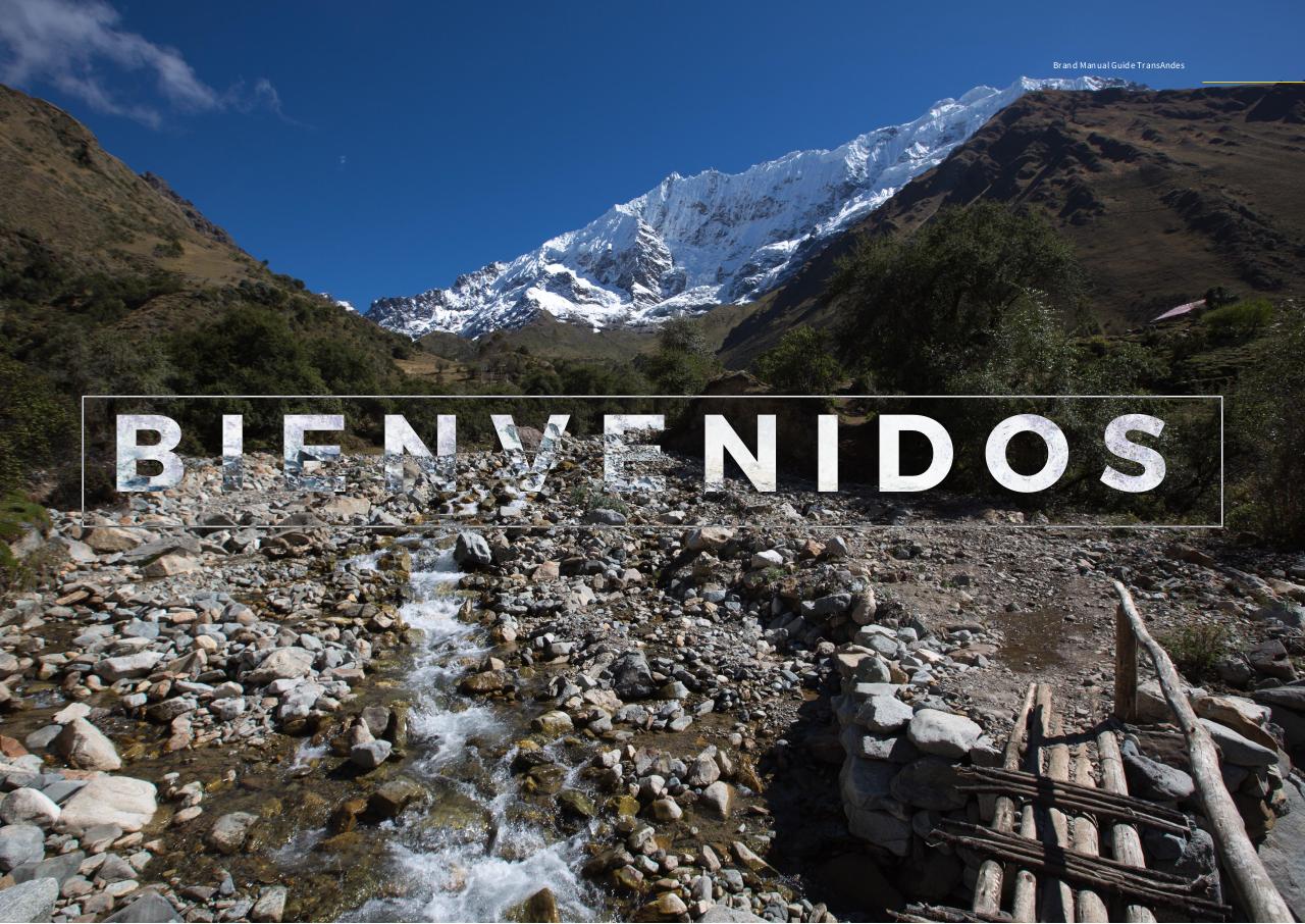 Vista previa del archivo PDF brand-manual-guide-transandes2015.pdf