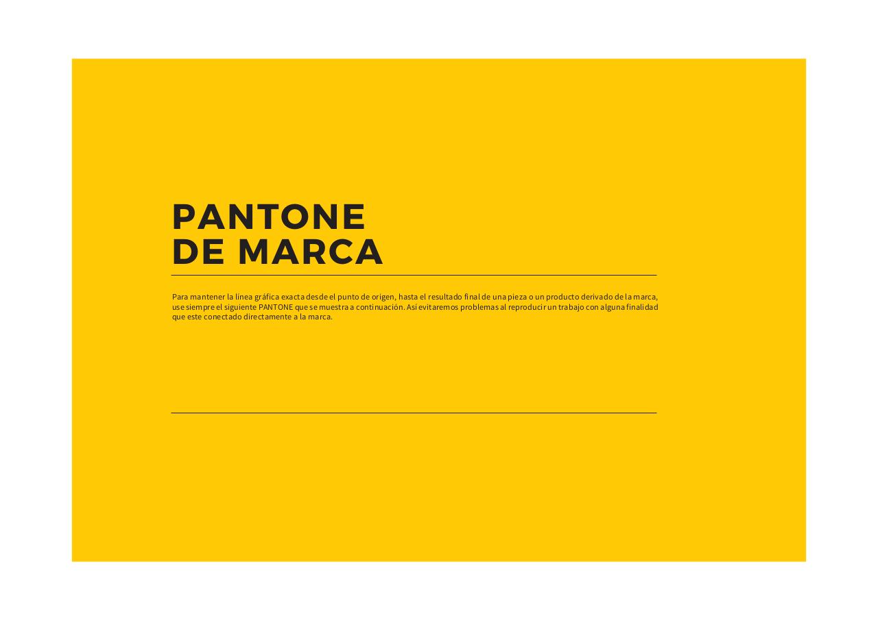 Vista previa del archivo PDF brand-manual-guide-transandes2015.pdf