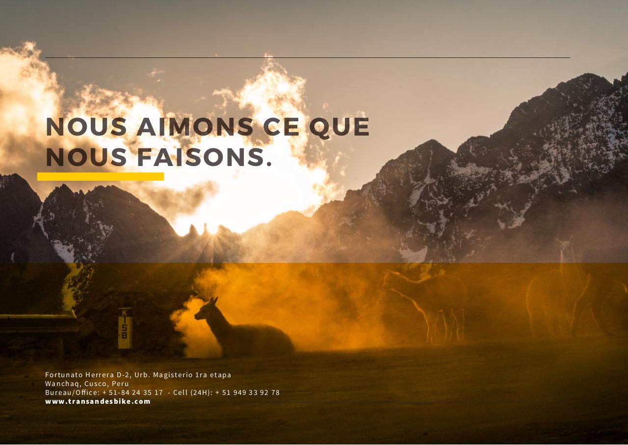 Vista previa del archivo PDF brand-manual-guide-transandes2015.pdf