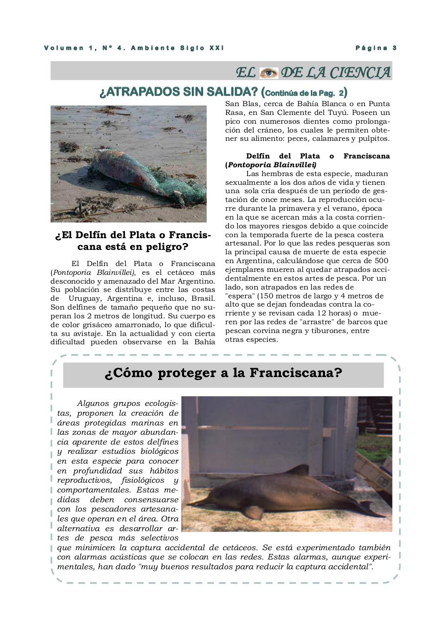 Vista previa del archivo PDF revista-ambiente-siglo-xxi-n-04-agosto.pdf