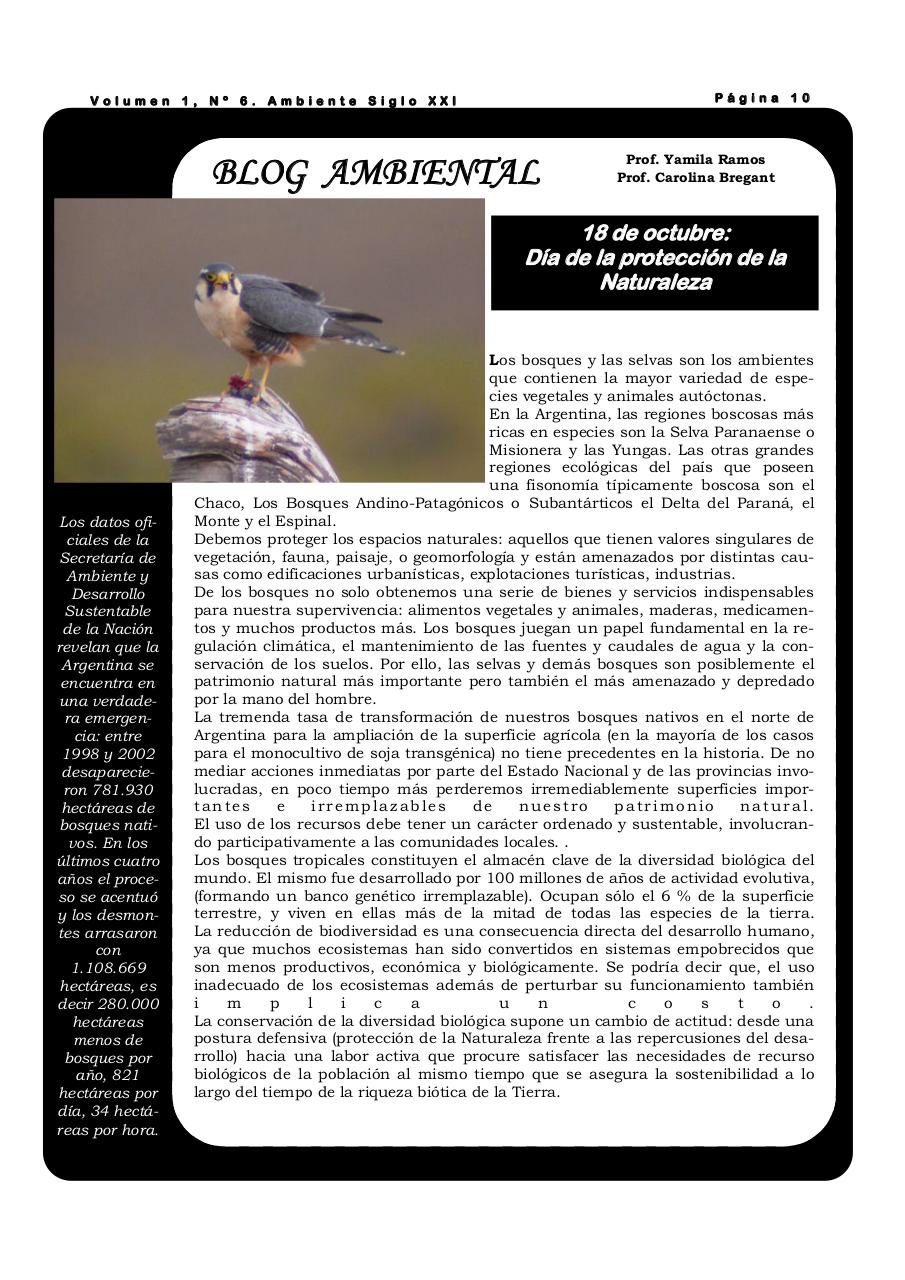 Vista previa del archivo PDF revista-ambiente-siglo-xxi-n-06-octubre.pdf