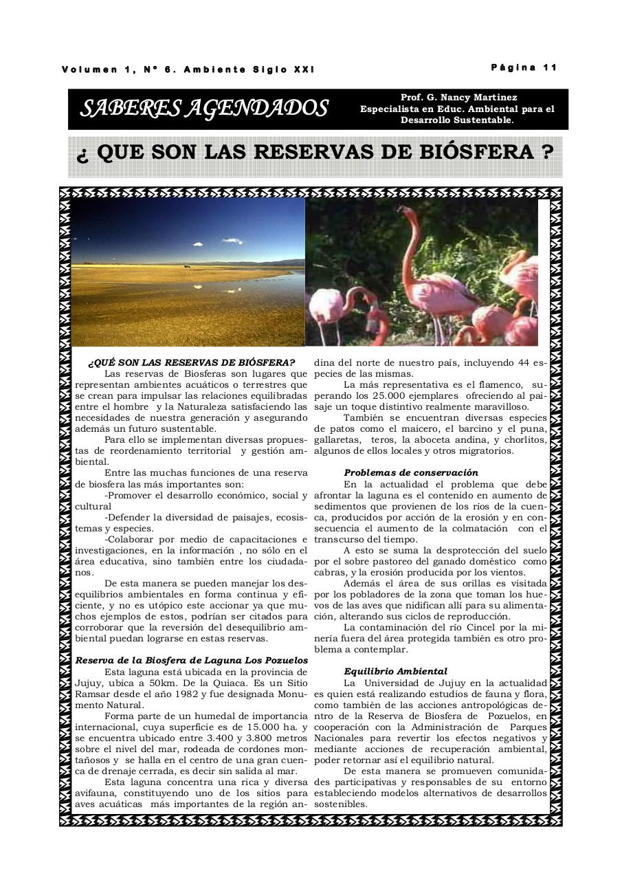 Vista previa del archivo PDF revista-ambiente-siglo-xxi-n-06-octubre.pdf