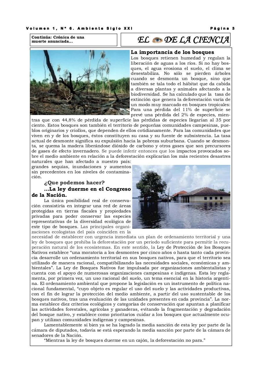 Vista previa del archivo PDF revista-ambiente-siglo-xxi-n-06-octubre.pdf