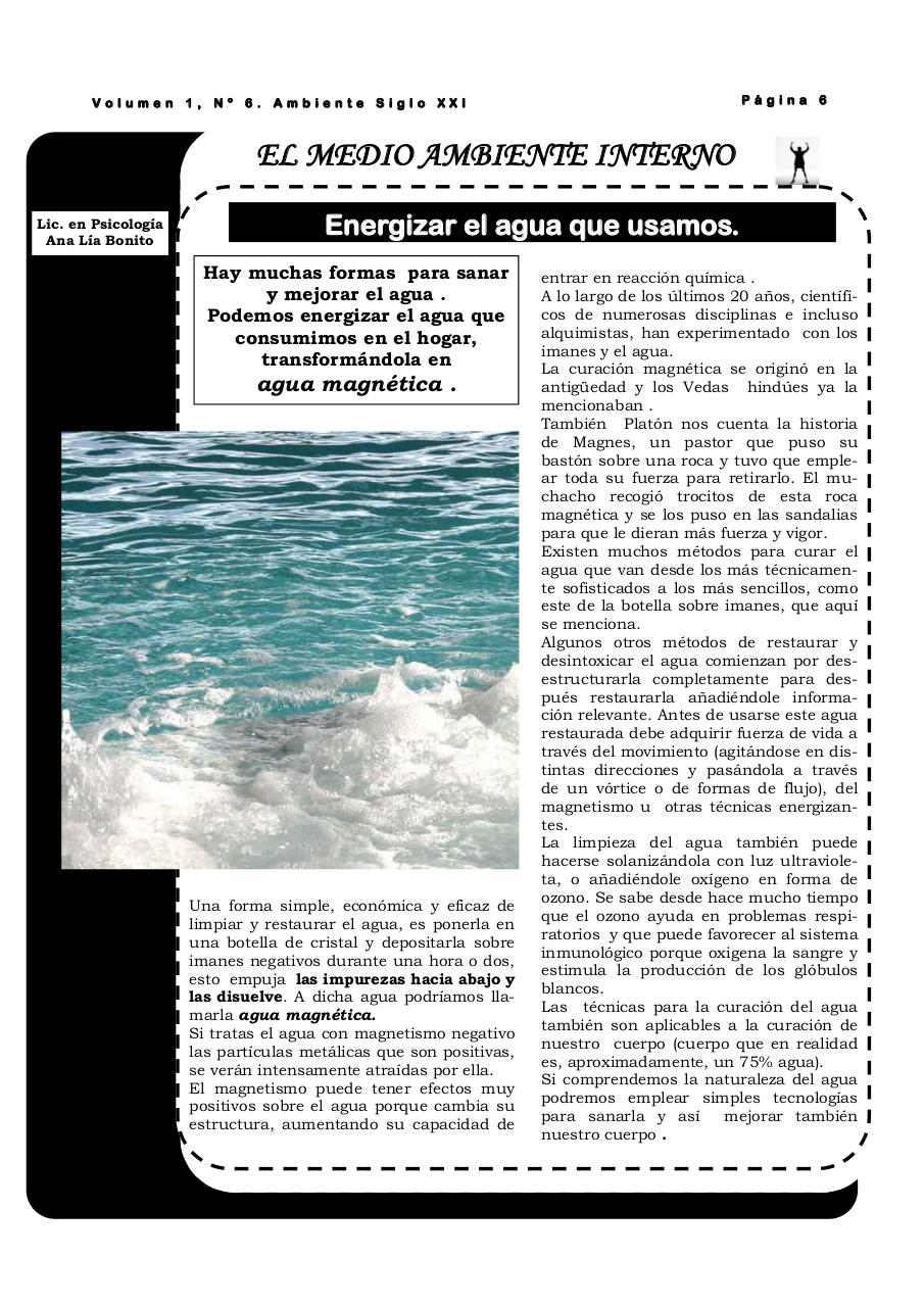 Vista previa del archivo PDF revista-ambiente-siglo-xxi-n-06-octubre.pdf